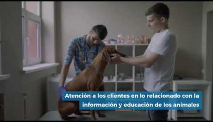 Encuentra aquí los puestos de trabajo y cuánto gana un Auxiliar Veterinario